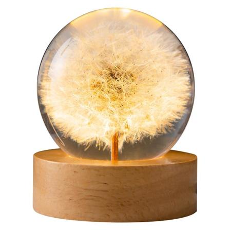 2024 Uusi Kukka Kristalli Pallo Lamppu, Voikukka Lasissa, Lahjat Naisille, Äidille, Lapsille Dandelion