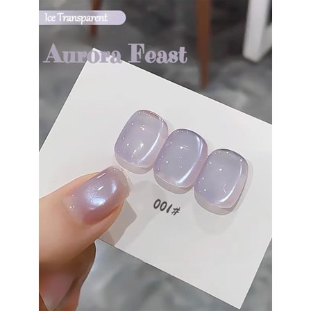 1-12 st WS Ny Stil Sommar Naglar Aurora Feast Kattögon Gel Nagellack Bästsäljare Glittrande Aurora Is-ö Nagelmaterial