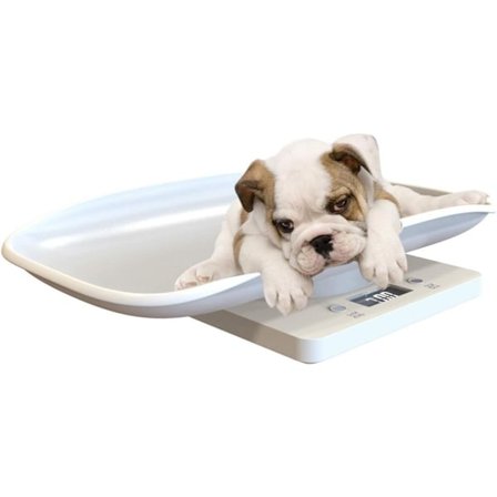 Multifunktionell digital husdjursvåg för att mäta vikten på hundar