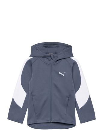 Evostripe Full-Zip B Huppari Harmaa PUMA