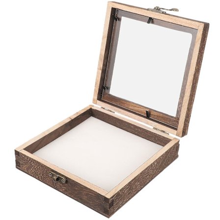 1 sett med insektdisplayetui - Holdbar insektsprøveboks - Treinsektsutstilling for hjem - Gratis frakt