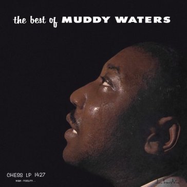 The best of muddy waters Muddy Waters