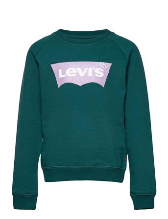 Key Item Logo Crew Svetari Collegepaita Vihreä Levi's
