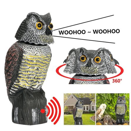 Realistisk Rædselskrage Plastugle Spurvehoved Og Lyd