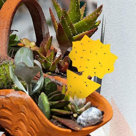 INF Flugfångare / Klibbig Insektsfälla, 20-pack