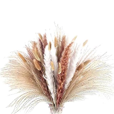 Pampasgræs 75 stk. 44,5 cm, blød stilkbuket til boligindretning bryllup boho-indretning (4 forskellige nat