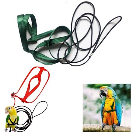 Justerbar fuglesele og snor (1 stk.) til papegøjer med en brystomkreds på 40 til 60 cm - L-formet papegøjesnor - grøn