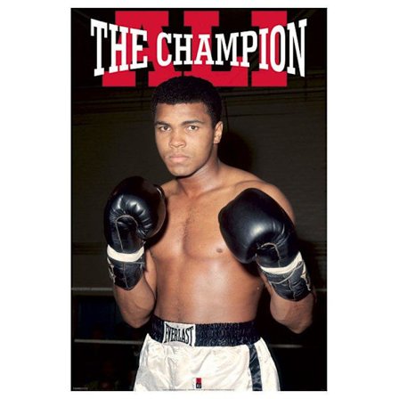 Muhammad Ali - The Champion