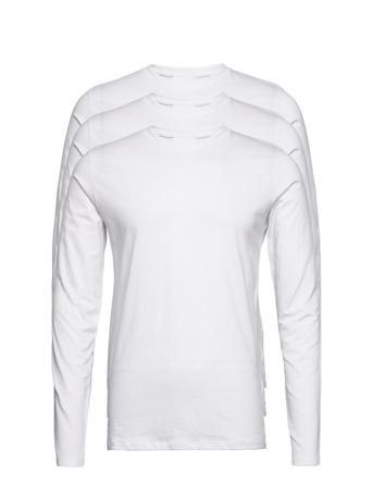 3Pk Basic Tee L/S Tops T-shirts Long-sleeved White Lindbergh