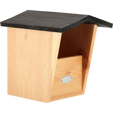 Rødhals redekasse i gran