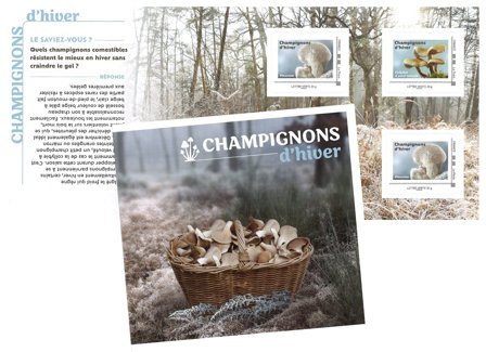 Frankrig - Svampe vinter 2025 - Postfrisk ark