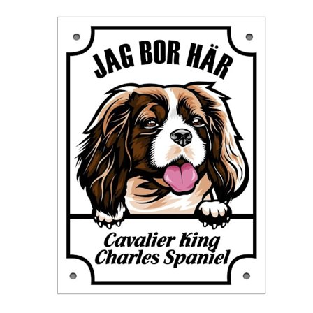 Plåtskylt Cavalier king charles spaniel Kikande hund skylt