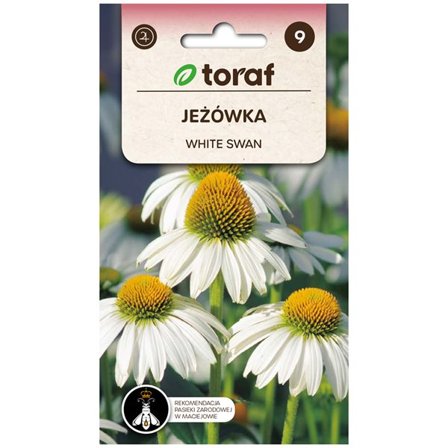 Frö till solhatt White Swan – Vitblommande perenn som lockar fjärilar