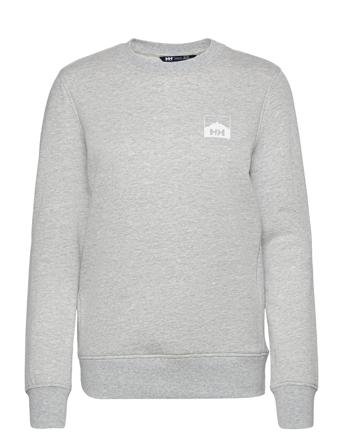 W Nord Graphic Sweatshirt Grey Helly Hansen