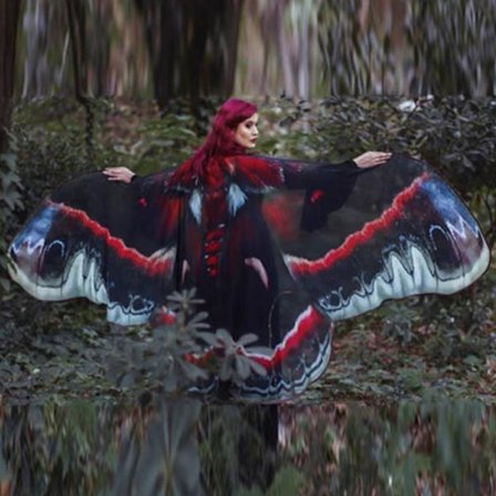 Butterfly Wings Cape Fairy Wings Kappa C C
