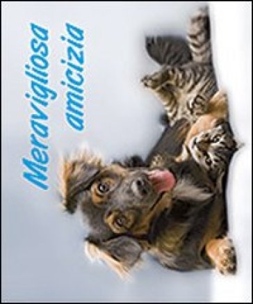 Meravigliosa amicizia R. Sala