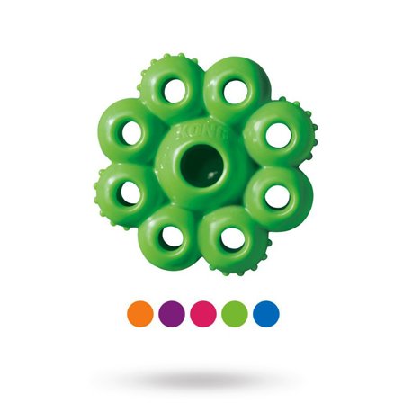 KONG - Kong Quest Star Pod - Aktiveringsleksak - Hundleksaker