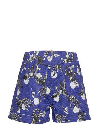 Jocelyne Blue Kenzo