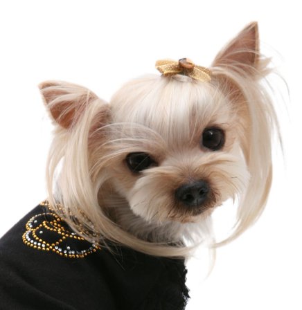 Puppy Angel - Glittering Hair Pin