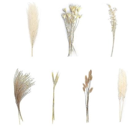 80 stk. Pampasgræs, Naturlig Tørret Pampasgræs Dekoration, 43 cm Tørrede Planter Boho Dekoration Til Hjemmet Kontor