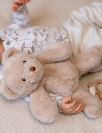 Teddykompaniet Teddy, Speldosa, Beige - Beige - 37 CM