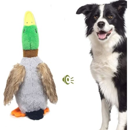 Hundelegetøj med Pivelyd, Kvækkende Gråand Legetøj til Hunde, Pibende Hundelegetøj, Plys Hvalpelegetøj Egnet til Små og Mellemstore Hunde
