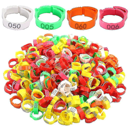 Guld vinglas, 2 cocktailglas i rustfrit stål