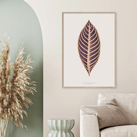Sanchezia Nobilis — Plakat med flot illustration af plante fra Nature Remixed by Gehalt