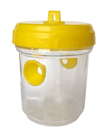 Vepse- og fluefella Biobasis