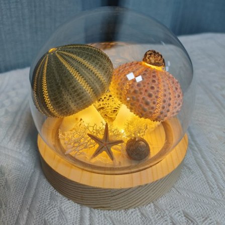 Sjöborreskal nattlampa svamplampa handgjord present till flickvän födelsedag bröllopspresent