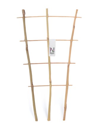 Nelson Garden 5216 Krukspaljé bambu 60 cm, Odling