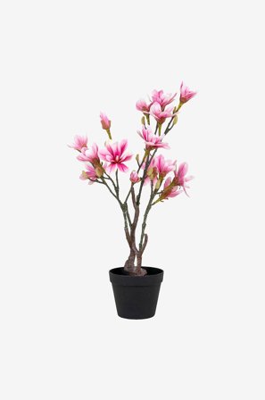 House Nordic - Magnoliatræ - Grøn - Kunstige blomster & planter - Fra Homeroom