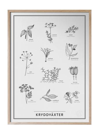 Kryddväxter Home Decoration Posters & Frames Posters Nature Monivärinen/Kuvioitu Kunskapstavlan