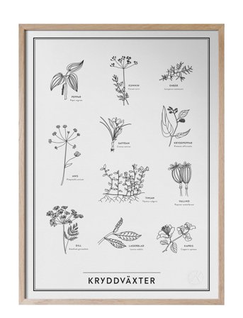 Kunskapstavlan | Kryddväxter | 30X40