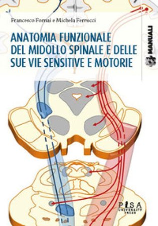 Anatomia funzionale del midollo spinale e delle sue vie sensitive e motorie Francesco Fornai