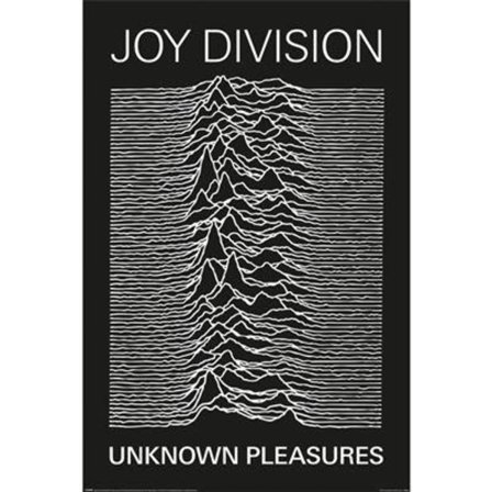 JOY DIVISION (UNKNOWN PLEASURES)