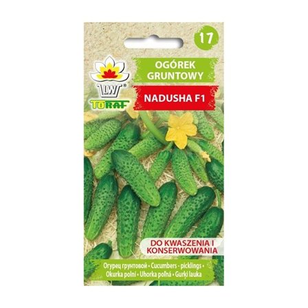 Kurkun siemenet Nadusha F1 - Korkeasatoinen ja täydellinen suolakurkkujen peittaukseen