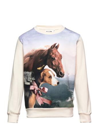 Regine Sweatshirt Trøje Multi/mønstret Molo