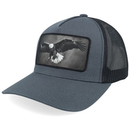 Calza Pennello - Grau trucker Cap - Eagle Big Patch Grey/Black Trucker @ Hatstore