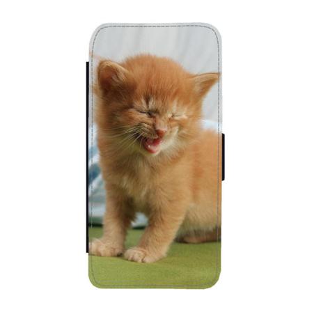 Skrattande Katt Samsung Galaxy S21 Ultra Plånboksfodral Multifärg