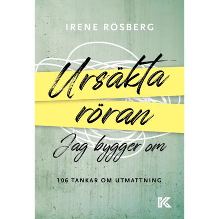 Ursäkta röran jag bygger om 9789175575339