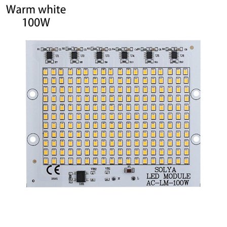 LED Chip Beads Smart IC WARM WHITE 100W 100W