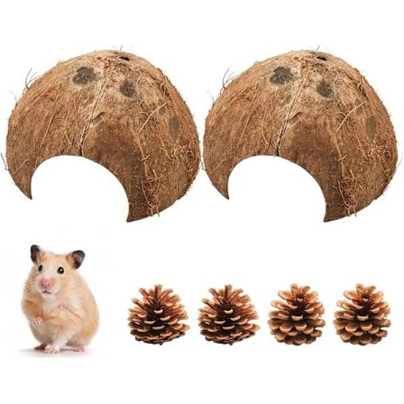 2 Half Coconuts for Breeding and Hiding Place for Small Animals