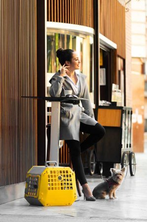 VarioCage Care2 L gul - Bilbur