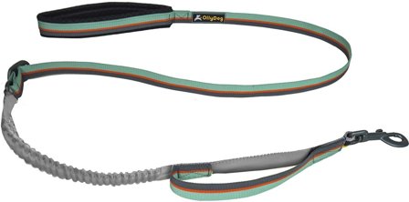 OllyDog Flagstaff Adjustable Spring Leash Surf