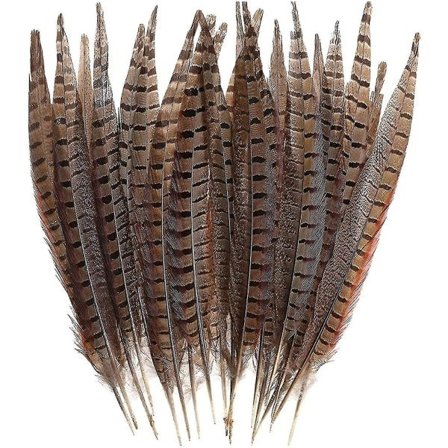 Naturlige Fasanhalefjer Lange Fasanfjer Dekoration DIY Karnevalstilbehør