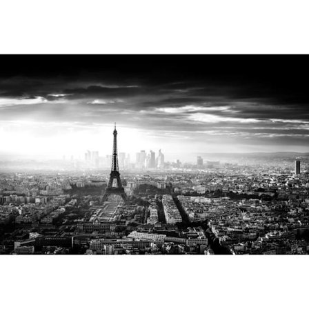 Icke-vävda konstfototapeter-PARIS AU POIVRE-GATOR-(186942)-7 remsor-350x260cm-Väggmålning Giant XXL-affisch-Beach Sea Ocean Jungle