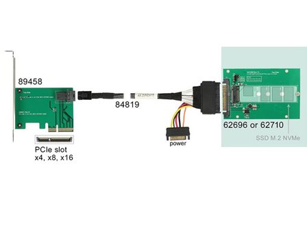 Delock Converter U.2 SFF-8639 > M.2 NGFF NVMe Key M - uttagbar harddiskramme