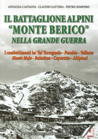Il battaglione alpini «Monte Berico» nella grande guerra. I combattimenti in: val Terragnolo, Pasubio, Vallarsa, monte Majo, Bainsizza, Caporetto, 