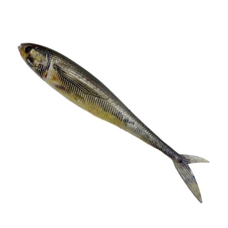 2st 3D-fiske trollingbete Mjuka fiskedrag D D